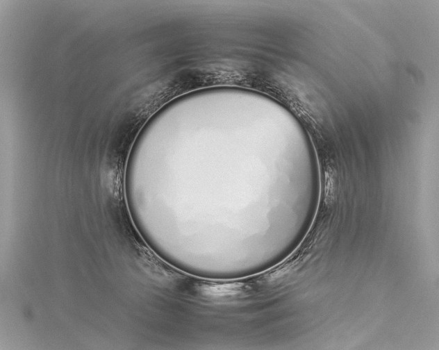 X0000115500177200911201626