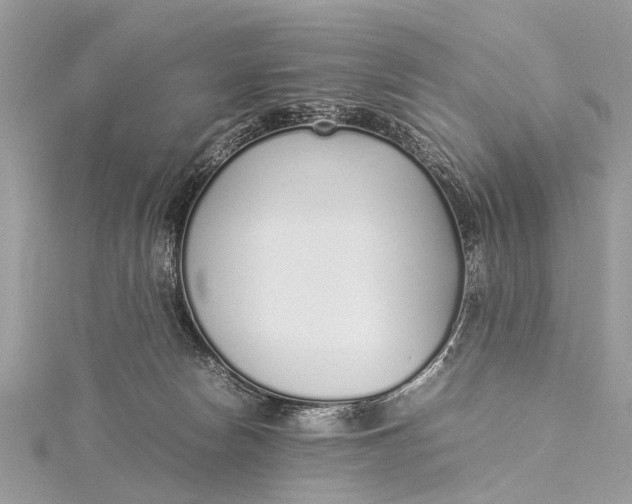 X0000115500178200911201626