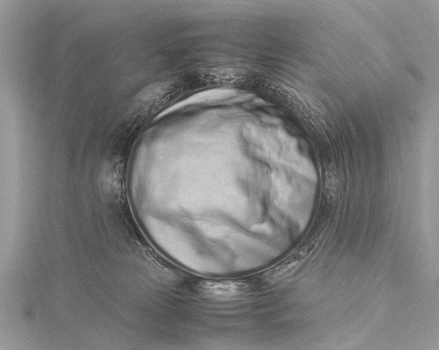 X0000115500181200911201626