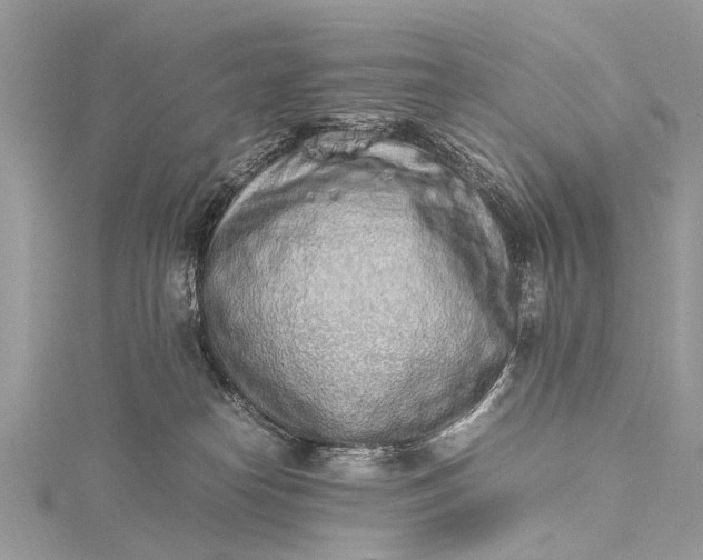 X0000115500182200911201626
