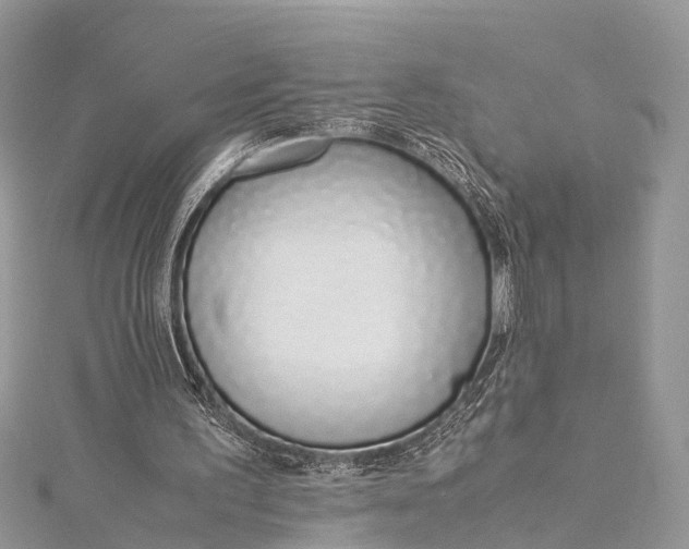 X0000115500195200911201626