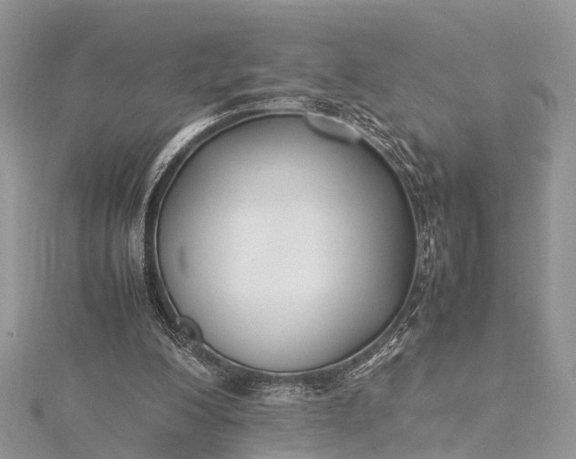 X0000115500200200911201625