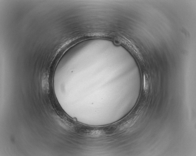 X0000115500204200911201625