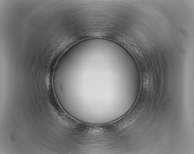 X0000115500206200911201625