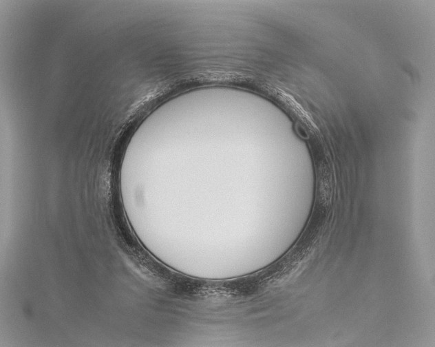 X0000115500207200911201625