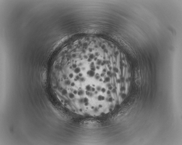 X0000115500208200911201625