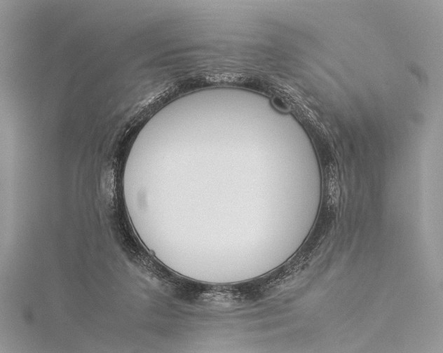 X0000115500211200911201625