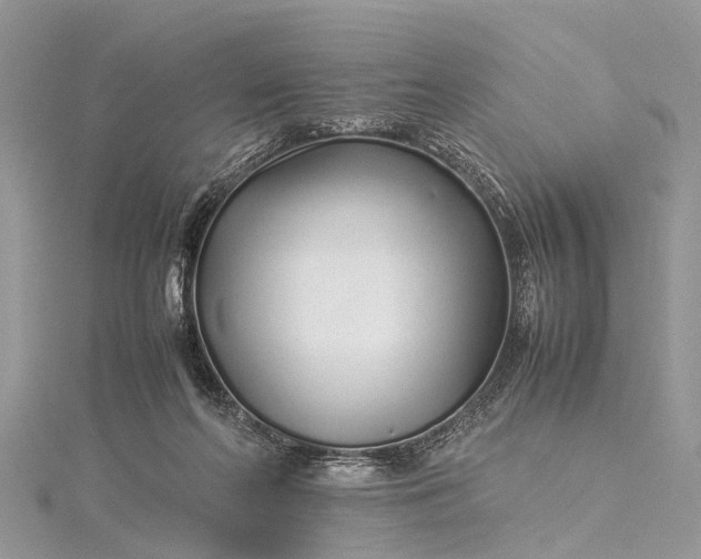 X0000115500214200911201625