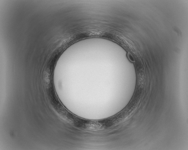 X0000115500215200911201625