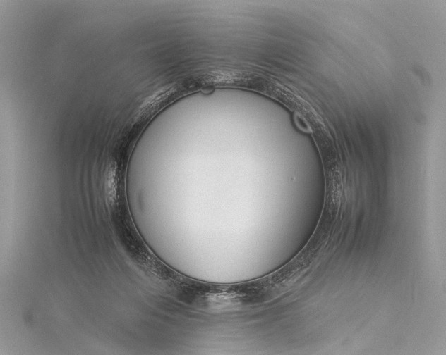 X0000115500216200911201625