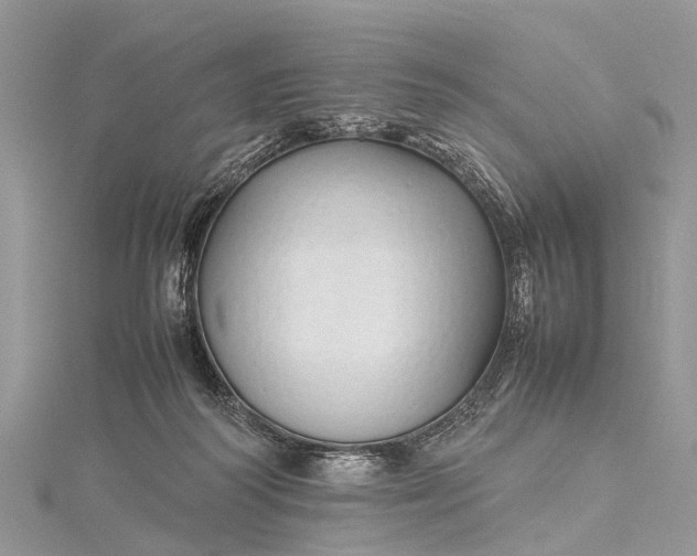 X0000115500218200911201625