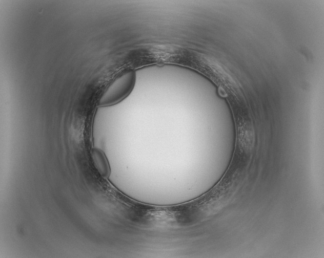 X0000115500221200911201625
