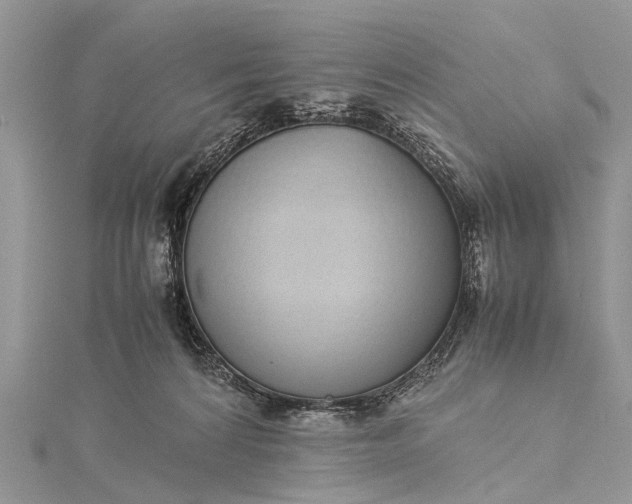 X0000115500224200911201625