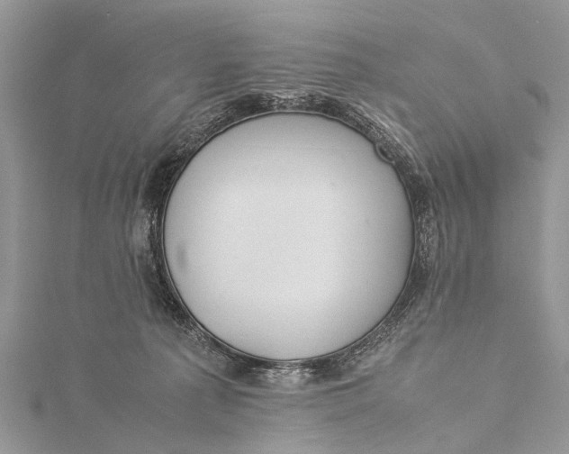 X0000115500225200911201625