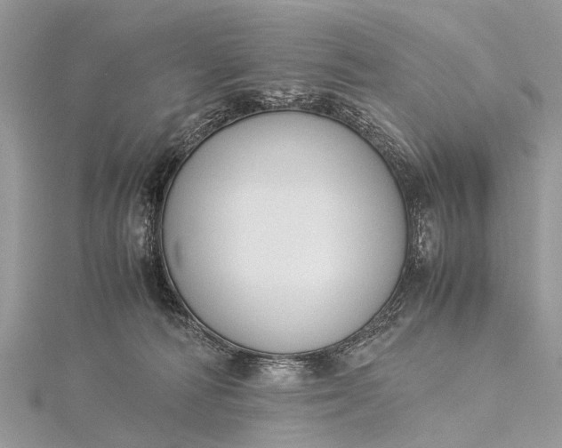 X0000115500226200911201625