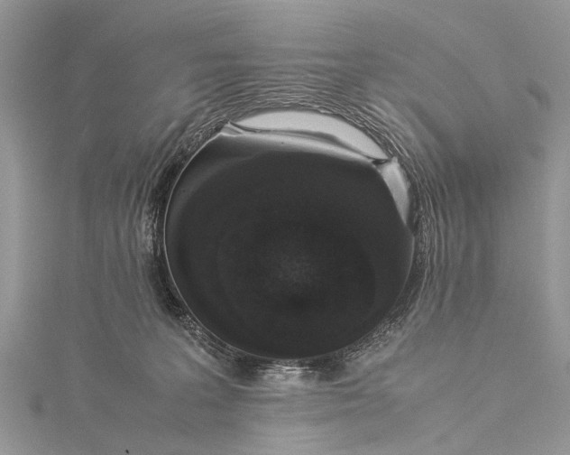 X0000115500227200911201625