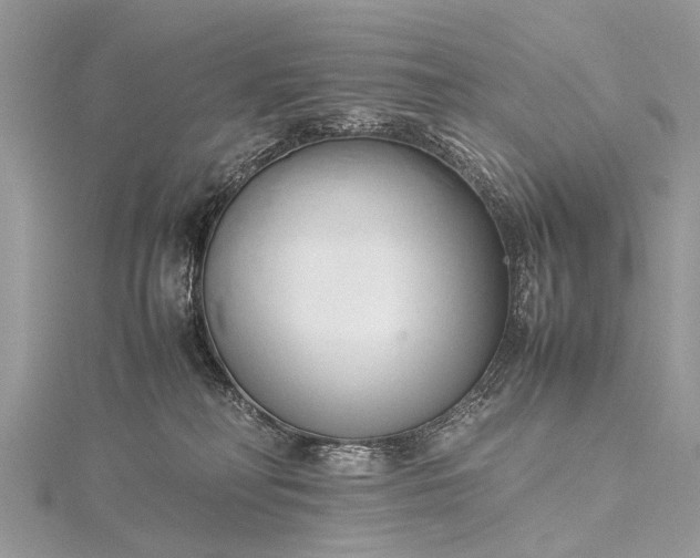 X0000115500230200911201625