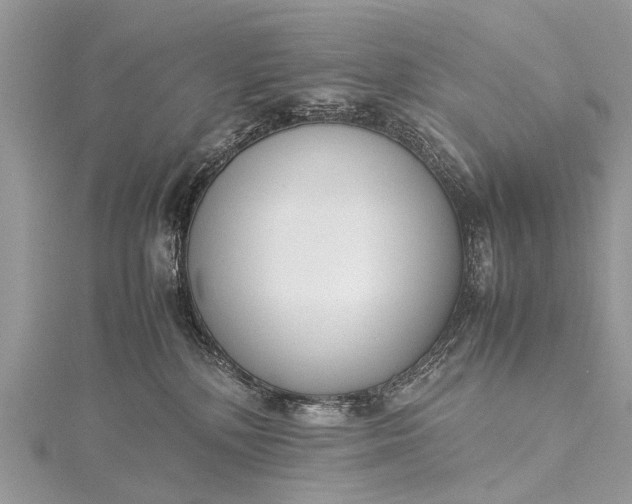 X0000115500232200911201625