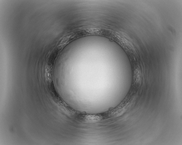 X0000115500234200911201625