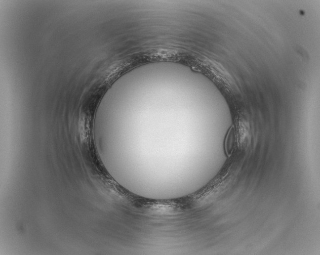 X0000115500236200911201625