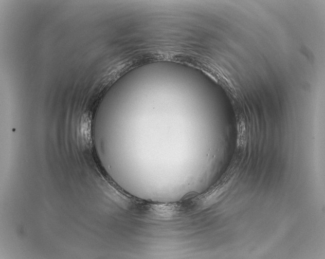 X0000115500238200911201625