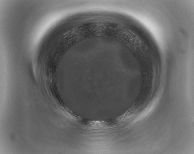 X0000115500239200911201625