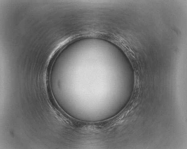 X0000115500244200911201624