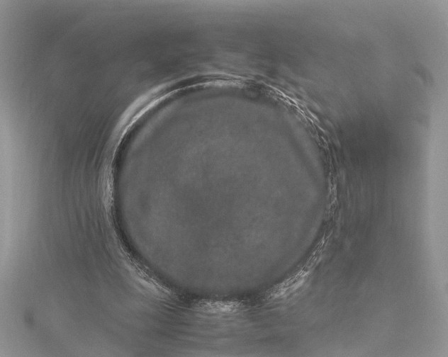 X0000115500247200911201624