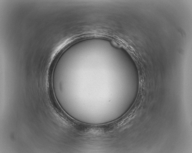X0000115500248200911201624