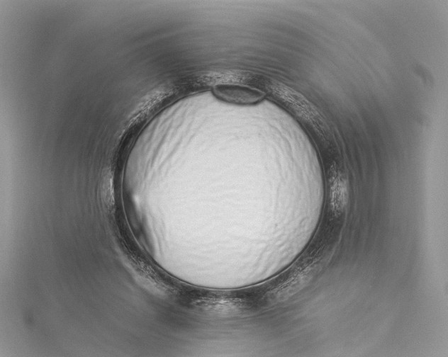 X0000115500254200911201624