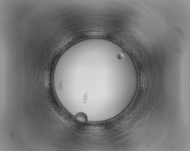 X0000115500255200911201624