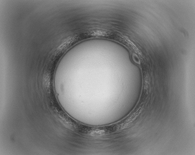 X0000115500257200911201625