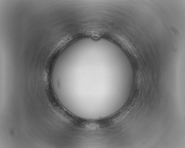 X0000115500258200911201625