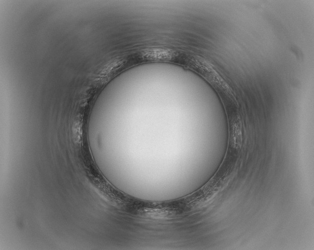 X0000115500259200911201625
