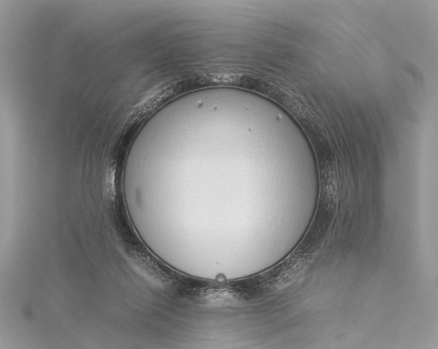 X0000115500262200911201625