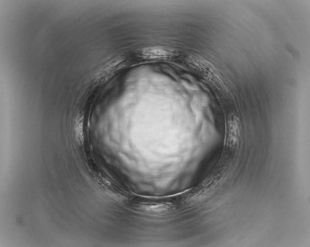 X0000115500267200911201625