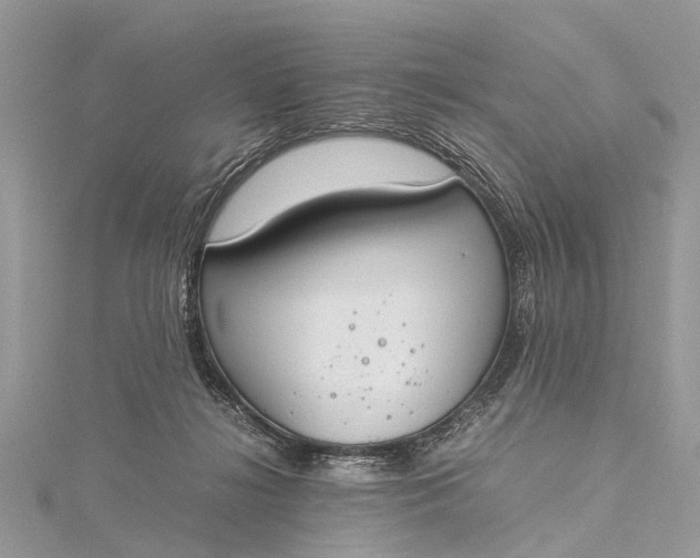 X0000115500268200911201625