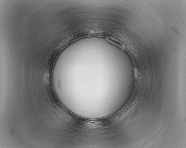 X0000115500269200911201625