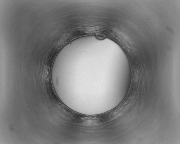 X0000115500273200911201625