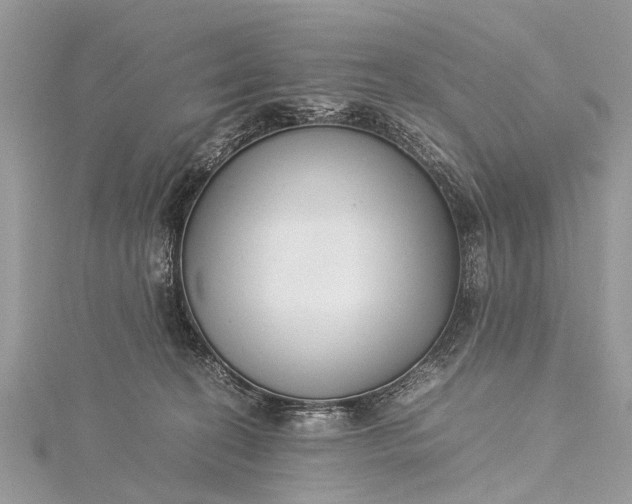 X0000115500274200911201625