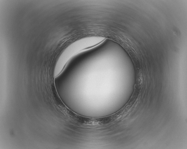 X0000115500276200911201625
