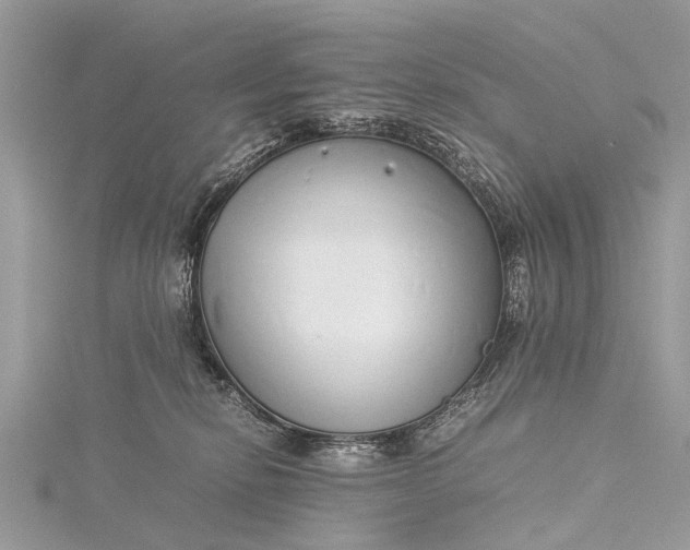 X0000115500278200911201625