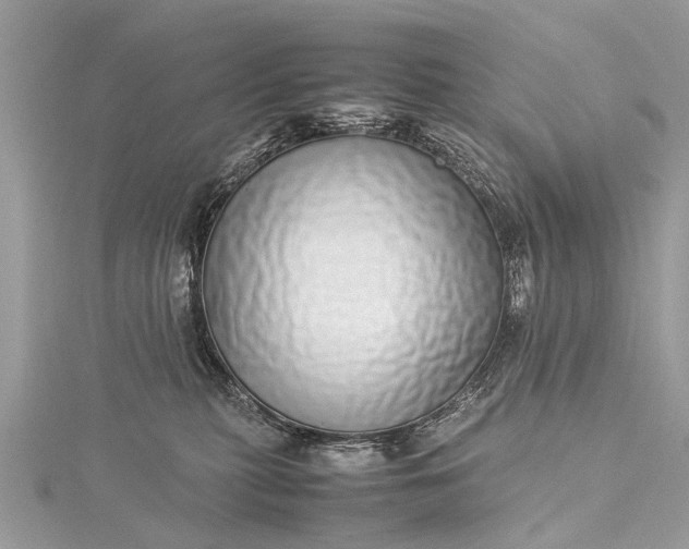 X0000115500279200911201625