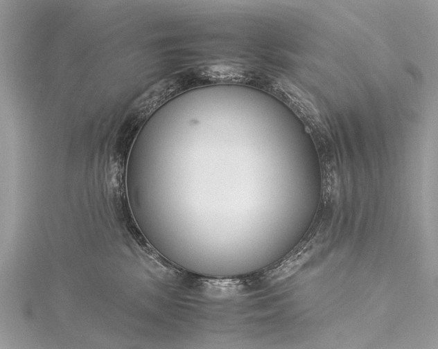 X0000115500281200911201625