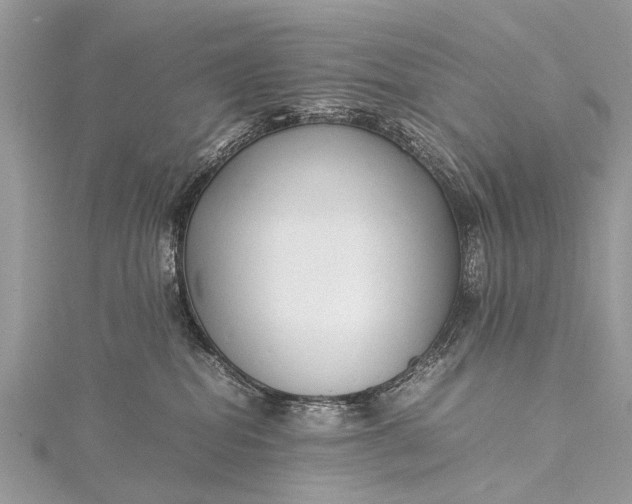 X0000115500282200911201625