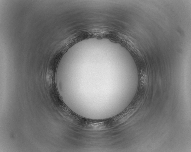 X0000115500283200911201625