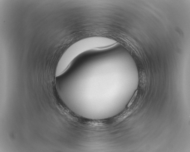 X0000115500284200911201625