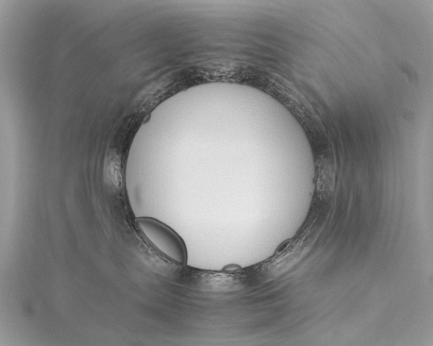 X0000115500287200911201625