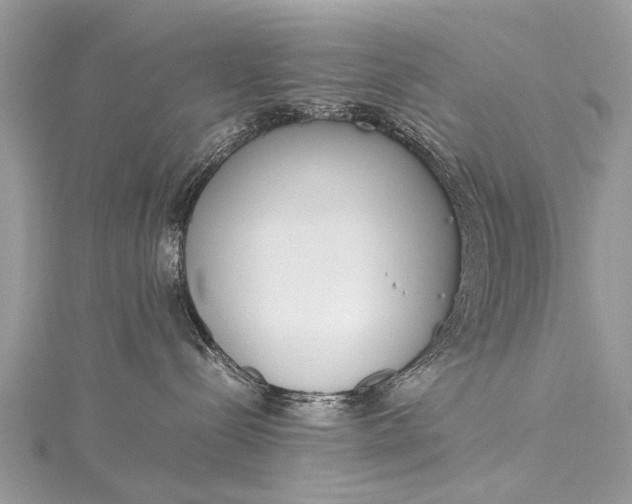 X0000115500288200911201625