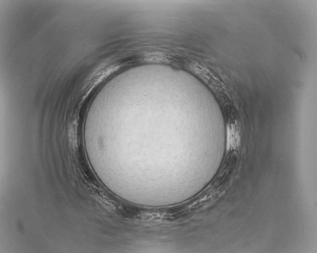 X0000115500291200911201624